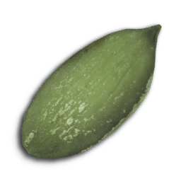 Seed