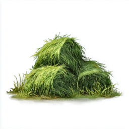 Silage