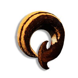 Hammerhead Trophy Coil