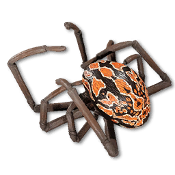 Spider Vestige