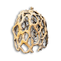 Truffle