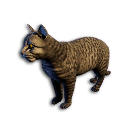 Cryogenically Frozen Grey Tabby Cat