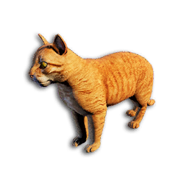 Cryogenically Frozen Orange Tabby Cat