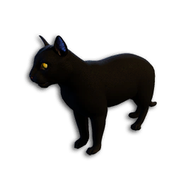 Cryogenically Frozen Black Cat