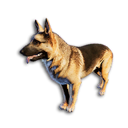 Cryogenically Frozen German Shepherd