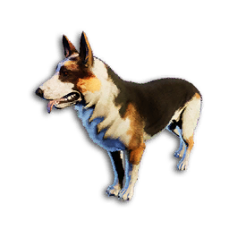 Cryogenically Frozen Panda German Shepherd