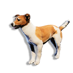 Cryogenically Frozen Tan Laika