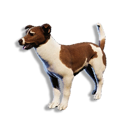 Cryogenically Frozen Brown Laika