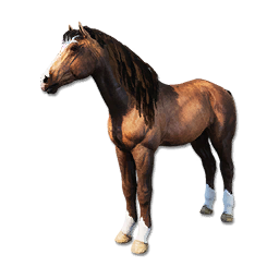 Cryogenically Frozen Brown Horse