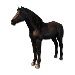 Cryogenically Frozen Black Horse