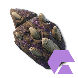 Quarrite Armor Fragment (Exotic)
