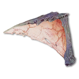Sandwyrm Wing Fragment