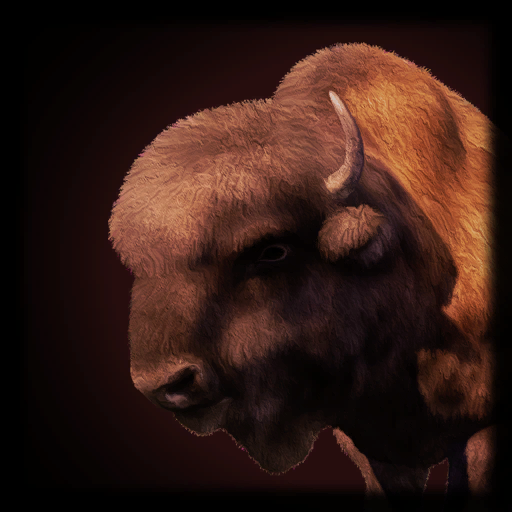 Buffalo
