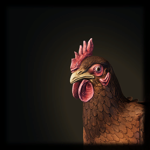 Chicken