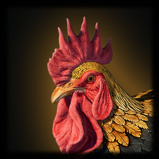 Rooster
