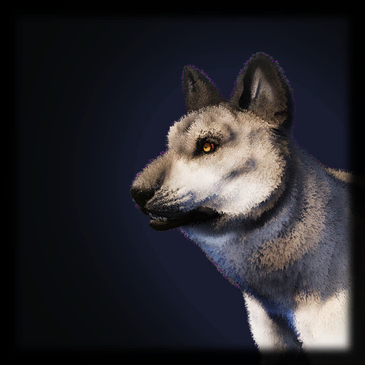 Snow Wolf