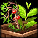 Bumper Crop