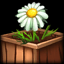 Green Thumb