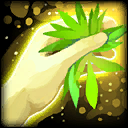 Friend Of The Trees