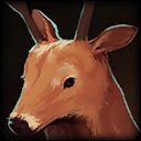 Sense Medium Animals